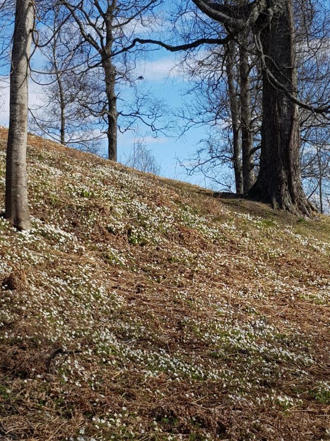 Pilegrimsherberge InnomHaug Jessheim Exterior foto